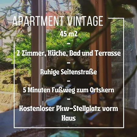 Apartment Vintage-neu Teilrenoviert